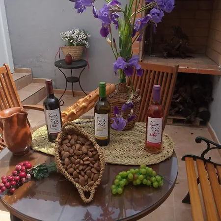 Country house El Olivo *